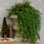 34" MEXICAN FERN HANGING BUSH W/ RED BERRIES