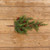 27" SOFT CEDAR & RED BERRY HANGING BUSH