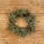 18" LONG NEEDLE PINE MINI WREATH