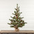 36" BURLY PINE TREE