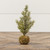 9.25" PINE TREE W/ MOSS BALL BASE