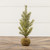 12.25" PINE TREE W/ MOSS  BALL BASE