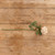 26" CREAM ROSE STEM