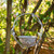 VINE HANGING BIRD FEEDER