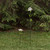 19.75" VINTAGE FLOWER GARDEN STAKE
