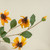 33" ORANGE BLACK-EYED SUSAN SPRAY