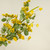 32" YELLOW QUEEN ANNE'S LACE & WILD FLOWER SPRAY