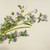 32" PURPLE QUEEN ANNE'S LACE & WILD FLOWER SPRAY