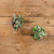 12" GREENERY BUSH W/ WHITE BUDS