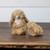 BEIGE SPRING BUNNY