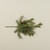 19" DOUGLAS FIR SPRAY W/ PINECONES