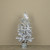 3' SNOWY HEMLOCK TREE