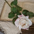 25.5" SOFT TOUCH CREAM ROSE STEM