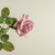 25.5" SOFT TOUCH PINK ROSE STEM