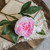 24" SOFT TOUCH LIGHT PINK PEONY STEM