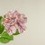 19" SOFT TOUCH LIGHT PINK HYDRANGEA STEM