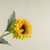 24" SOFT TOUCH YELLOW SUNFLOWER STEM