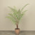 3.5' POTTED FERN