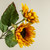 26" DARK YELLOW SUNFLOWER STEM