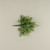 15" MINI SMILAX  BUSH