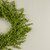 24" RUSCUS LEAF WREATH