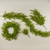 6' RUSCUS LEAF GARLAND
