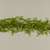 6' RUSCUS LEAF GARLAND