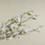 36" WHITE CHERRY BLOSSOM BUSH