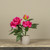 12" DARK PINK POTTED PEONY