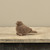 3.5" BROWN FLOCKED BIRD