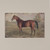 22" HORSE PRINT