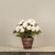 13" POTTED CREAM MUMS