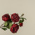 25.5" RED DRIED PEONY SPRAY