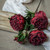 25.5" RED DRIED PEONY SPRAY