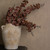 34" BROWN LARKSPUR SPRAY