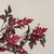 35" BURGUNDY ACTAEA LEAF & BERRY SPRAY
