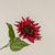 29" BURGUNDY SUNFLOWER STEM