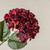27" BURGUNDY HYDRANGEA STEM