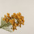 22" GOLDEN QUEEN ANNE'S LACE BUNDLE