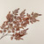 26" BROWN FERN SPRAY