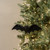 11.25" BAT ORNAMENT
