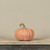 5.75" DUSTY ORANGE PUMPKIN