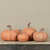 5.5" DUSTY ORANGE PUMPKIN