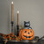 BLACK CAT IN JACK-0-LANTERN