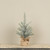 2' GLITTERED PINE TREEE W/ BURLAP BASE