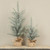 2' GLITTERED PINE TREEE W/ BURLAP BASE