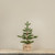 19" FIR TREE W/ BURLAP BASE