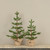 19" FIR TREE W/ BURLAP BASE