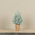 15.5" FROSTED PINE TREE