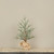 22.5" LIGHT GREEN PINE TREE W/ BURLAP BASE